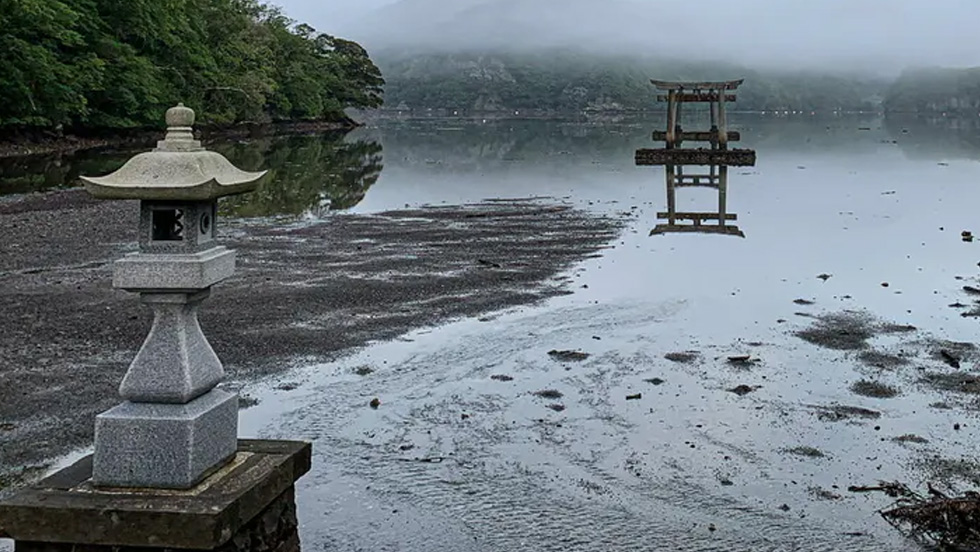 watazumi 1