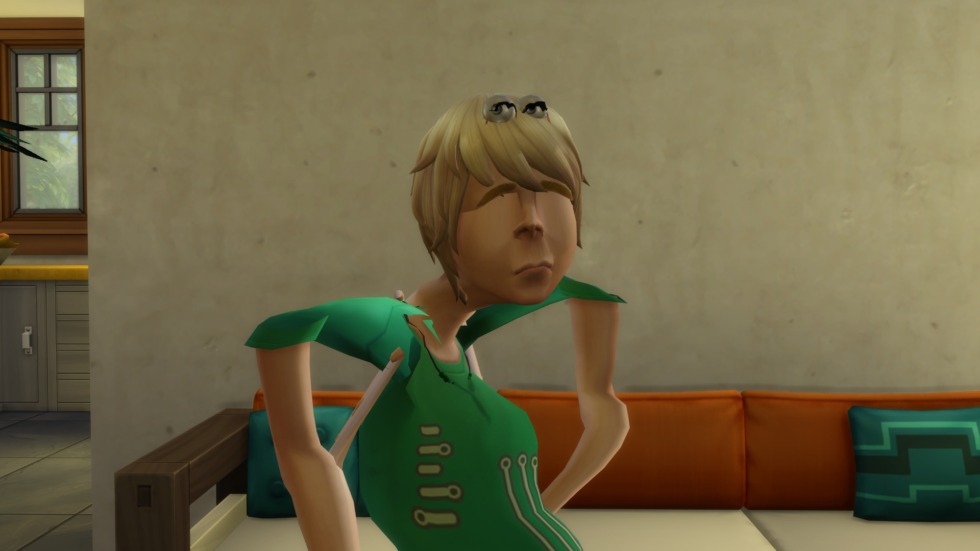The Sims