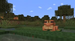 Frog เจ้ากบน้อย เตรียมบุกเกม Minecraft ในอัปเดตใหญ่ ‘The Wilds’
