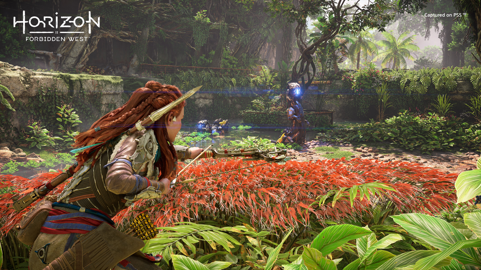 รีวิว Horizon Forbidden West ดินแดนใหม่ จักรกลใหม่ จัดเต็มความเป็น Next-Gen 2 1