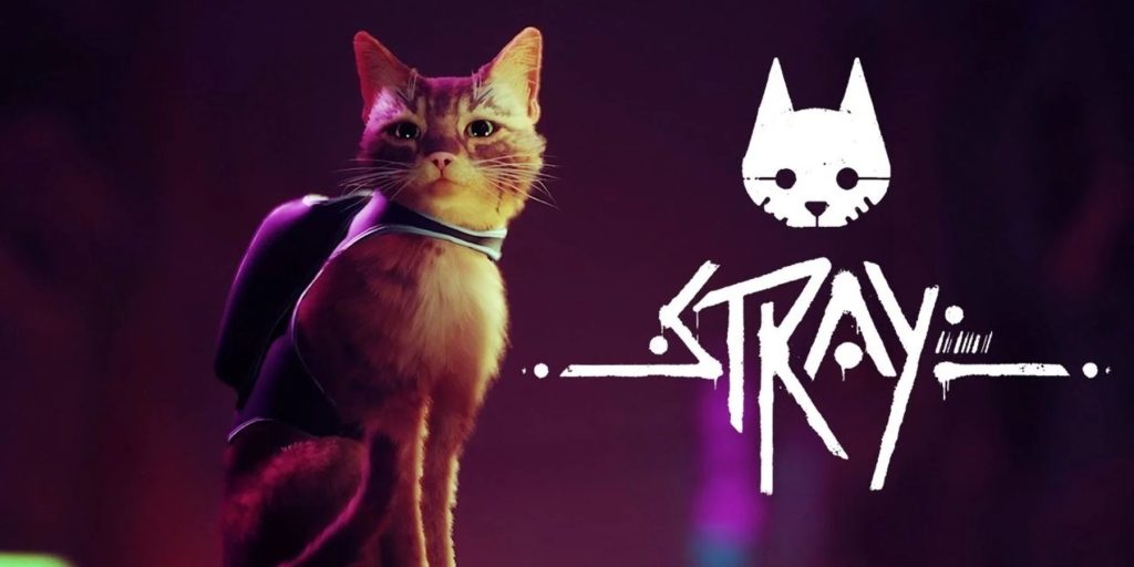 Stray Cat