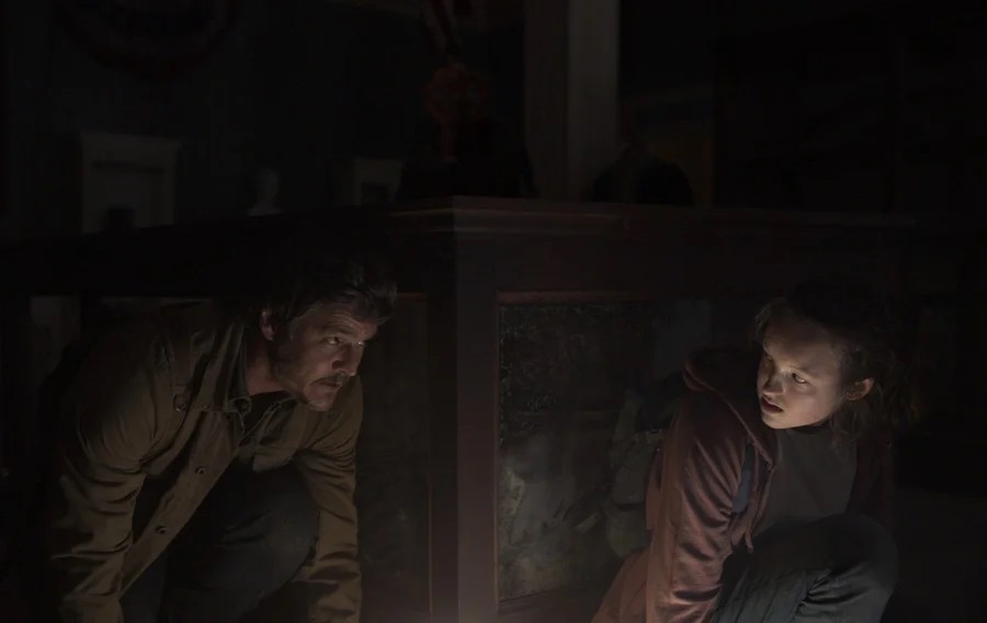 The Last Of Us Series