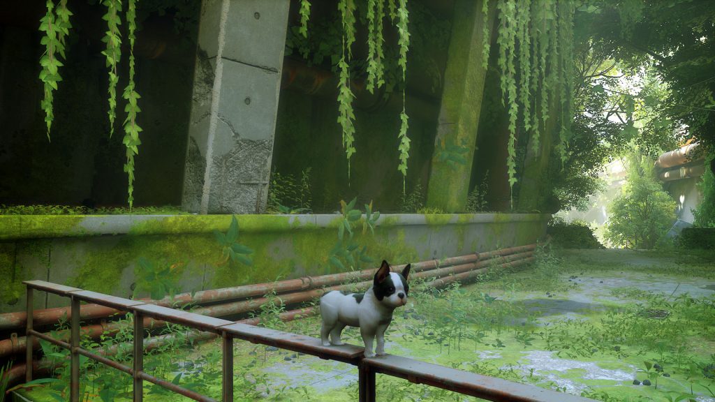 รวมม็อดน่าสนใจ และเป็นประโยชน์ต่อการเล่น Stray ใน PC 7 Stray