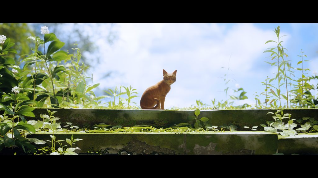 รวมม็อดน่าสนใจ และเป็นประโยชน์ต่อการเล่น Stray ใน PC 4 Stray (4)