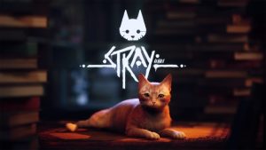 ชาวเน็ตบางส่วนรู้สึกว่า Stray ไม่น่าจะได้รางวัล Game of the Year ส่วนทีมงานไม่แสดงท่าทีหวั่นไหวใด ๆ