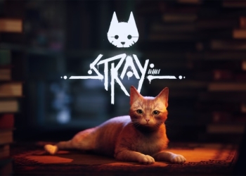Stray Game