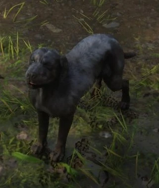 Einstein สุนัขที่แสดงเป็น Cain ในเกม Red Dead Redemption 2 เสียชีวิต 2 Cain