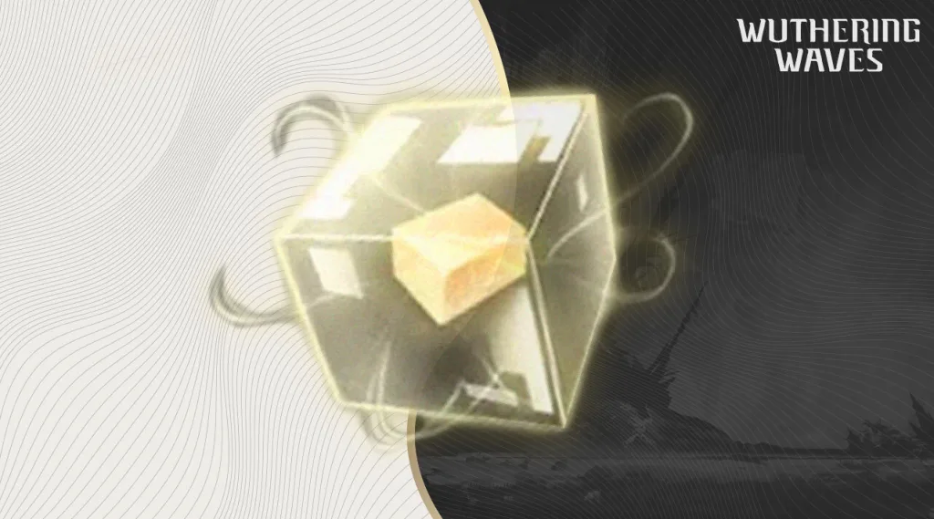 S1