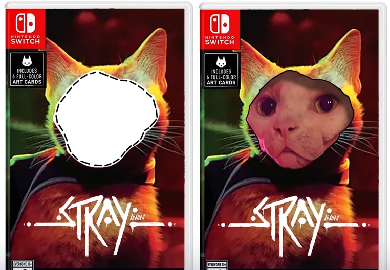 Stray