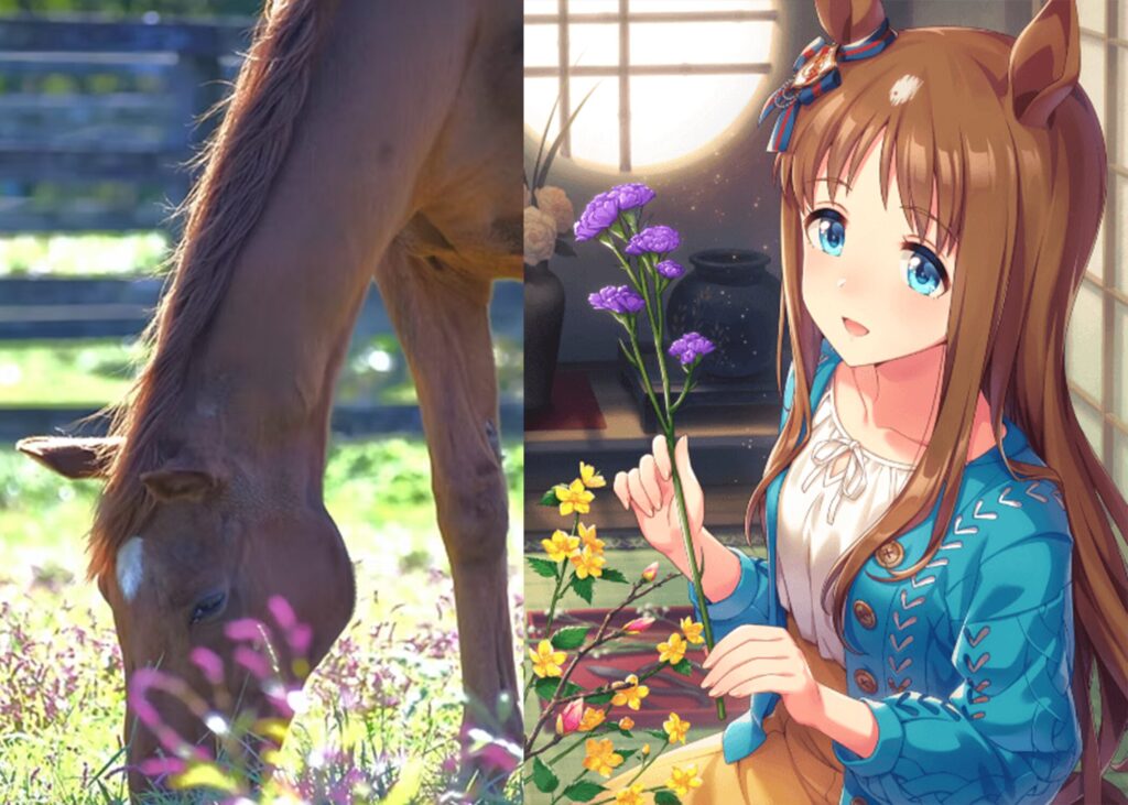 Grass Wonder ตำนานม้าแข่ง ต้นแบบของตัวละครในเกม Umamusume Pretty Derby เสียชีวิตแล้วด้วยวัย 30 ปี 1 Glass Wonder