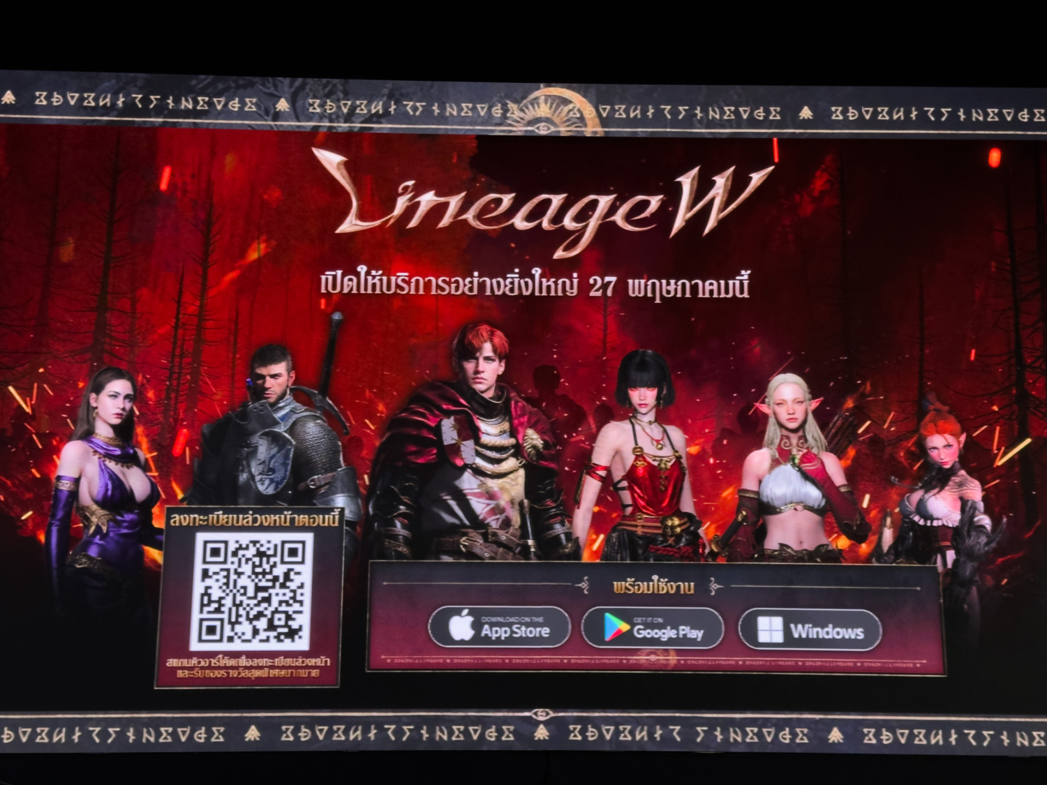 Img 1646