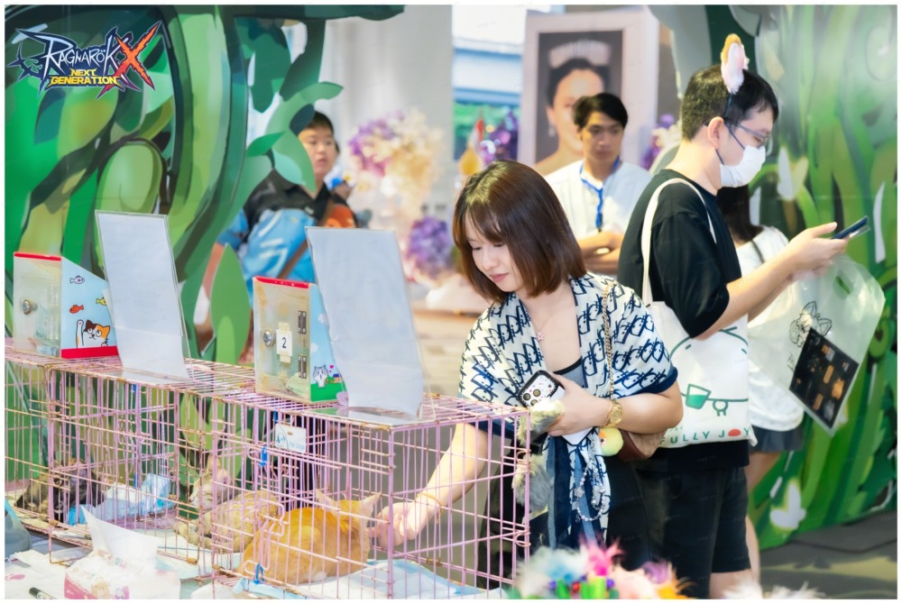 ROX บริจาคอาหารแมว 750 กิโลกรัมเพื่อช่วยเหลือแมวจร 3 Poster 3