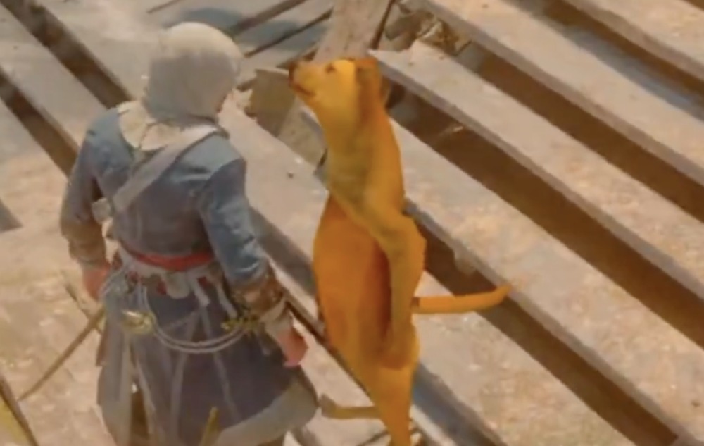 Assassins Creed Black Flag Resynced dog standing