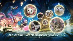 ROX บริจาคอาหารแมว 750 กิโลกรัมเพื่อช่วยเหลือแมวจร