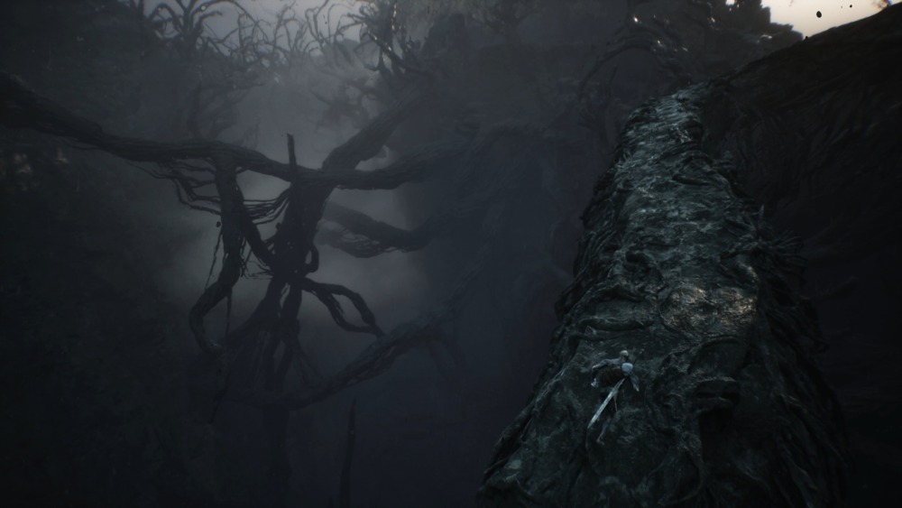 Mortal Shell II 3